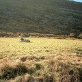 ireland_0964.jpg