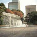 DS2_0378new.jpg