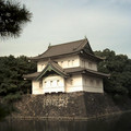 DS2_0379new.jpg