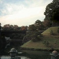 DS2_0380new.jpg