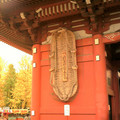 DS2_0445new.jpg
