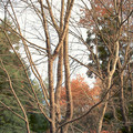 DS2_0551new.jpg