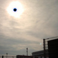 DS2_0554new.jpg