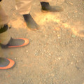 DS2_0569new.jpg