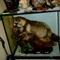 DS2_0578new.jpg