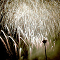 DS2_0627new.jpg