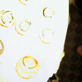 DS2_0629new.jpg