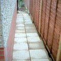 18cambrd_1376.jpg