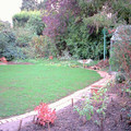 18cambrd_1377.jpg