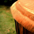 drum_1337.jpg
