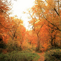 ds2_0648new.jpg