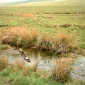 landy_0116.jpg