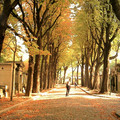 paris_0576.jpg