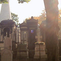 paris_0578.jpg