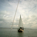 sailing_1317.jpg