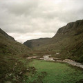 scot04_1211.jpg