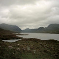 scot04_1214.jpg