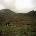 scot04_1215.jpg