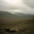 scot04_1218.jpg