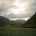 scot04_1219.jpg