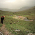 scot04_1226.jpg