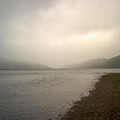 scot04_1232.jpg