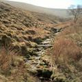 ds2_1237new.jpg