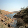 ds2_1239new.jpg