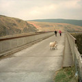 ds2_1256new.jpg