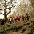 ds2_1260new.jpg