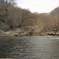 ds2_1264new.jpg