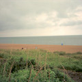 wedding_0223.jpg