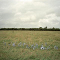 wedding_0257.jpg
