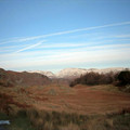 stag2_1443.jpg