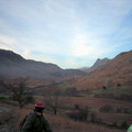 stag2_1446.jpg