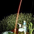 royzoe_0012.jpg