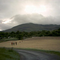 whitstag_1270.jpg
