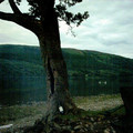 whitstag_1279.jpg