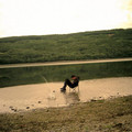 whitstag_1287.jpg