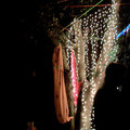 wsff_0395.jpg