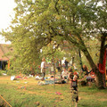 wsff_0442.jpg