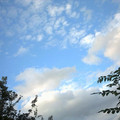 wsff_0445.jpg
