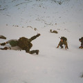 018_15a.jpg