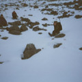 025_22a.jpg