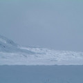 dscf0481.jpg