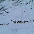 dscf0484.jpg