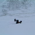 dscf0516.jpg