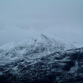 dscf0534.jpg