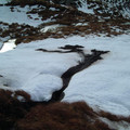 dscf0537.jpg