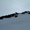 dscf0547.jpg